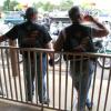 BAD BOB and HUSKER behind bars